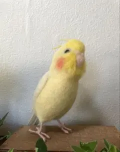 羊毛フェルト オカメインコ ノーマル オス - メルカリ