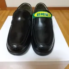 Item thumbnail for item ff429b62-bdfe-4647-adc0-54a814742925