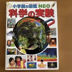 Item thumbnail for item bcbed31b-a1b0-455a-9709-ecfe28f4b7a7