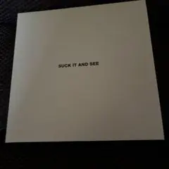 アークティック・モンキーズ / サック・イット・アンド・シー