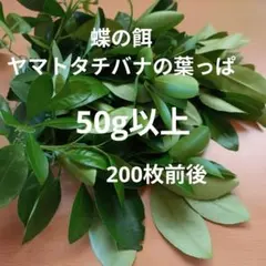 제비나비사료 야마토 오렌지 (귤) 잎 50g