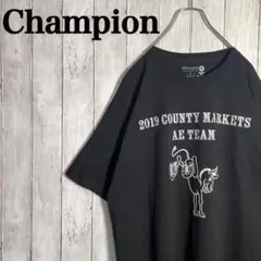 【希少デザイン】チャンピオン　刺繍ワンポイント両面ビックプリント　Tシャツ　古着