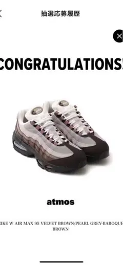 28.5cm Nike Air Max 95 Big Bubble Brown