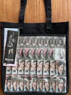 【官方商品】aespa 周邊 痛包 KARINA 徽章 總匯