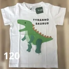 恐竜　Tシャツ 100cm 新品