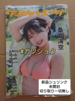 グラビアンエイジ VOL.2 (新品シュリンク未開封)切り取り一切無し