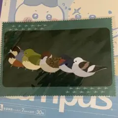 オリジナル 野鳥 マイクロファイバー