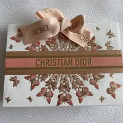 CHRISTIAN DIOR 限定ギフトバッグ