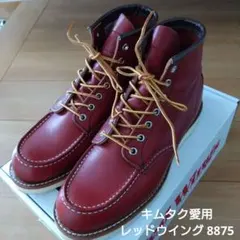 2026年最新】赤茶 アイリッシュセッター redwingの人気アイテム - メルカリ