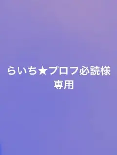 らいち★プロフ必読様専用