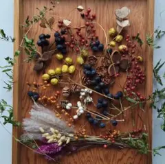木の実　ドライフラワー　セット 　花材　リース　ガーランド