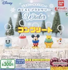 ディズニー めじるしアクセサリー Winter 全５種　コンプリート　コンプ