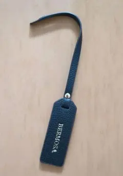 Item thumbnail for item 858bcace-9ce8-487b-948d-3b5f5d32ddfd