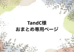 TandC様 リクエスト 8点 まとめ商品