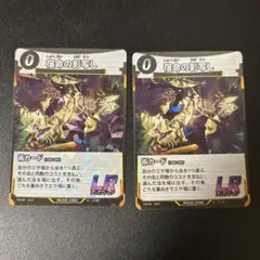 ふかひれ祭り様 リクエスト 2点 まとめ商品