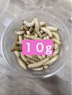 Item thumbnail for item 5d07f532-d47b-4152-85df-7c09f3762aa2