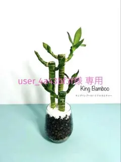 user_4a43bf3f様 リクエスト 2点 まとめ商品