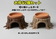 切株風ウエットシェルターM[ウッド/チョコレートウッド]　2個セットのサムネイル