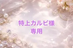 特上カルビ様専用ページ