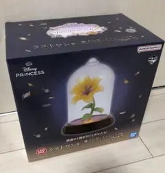 ⭐️おまけつき⭐️ディズニープリンセス　一番くじ　ラストワン