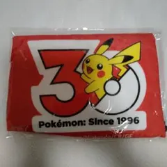 広島カープオリジナル ポケモンウェアラグのサムネイル