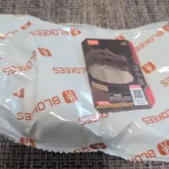 BLOKEES　スピノサウルス　頭骨のサムネイル