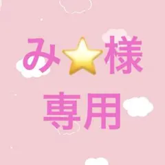 み⭐️様専用ページ