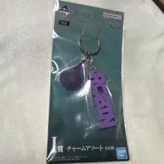 一番くじワンピース　メモリーオブヒロインズ I賞ロビン