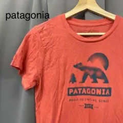 patagonia パタゴニア  オーガニックコットンTシャツ 半袖