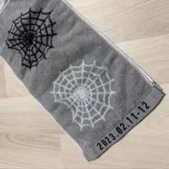 Stray Kids maniac encore マフラータオル