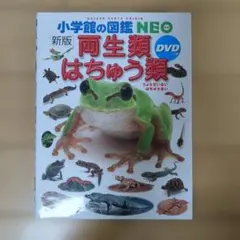 両生類・はちゅう類 DVD付き 新版 自然の図鑑NEO