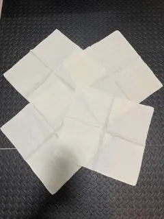 Item thumbnail for item 171730a9-7503-41b3-a584-6adf180b8f98