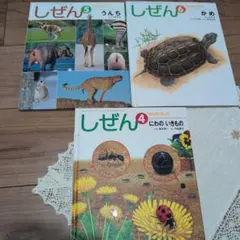 Item thumbnail for item c4cc2d87-1d13-43d6-85a4-15e47d03527e