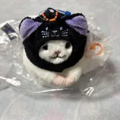 カルディ KALDI なりきりチンチラマスコット チンチラ ハロウィン