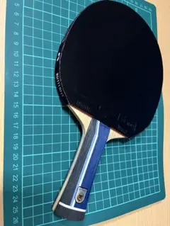 張本智和インナーフォースALC（91g）　ディグニクス05 80