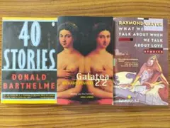 40STORIES Galatea2.2 RAYMOND CARVER 原書3冊
