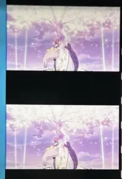 希少 ラブライブ 入場特典 35mmコマフィルム 高坂穂乃果 西木野真姫 μ's 希少 ラブライブ 入場特典 35mmコマフィルム 高坂穂乃果 西木野真姫