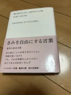 Item thumbnail for item 9a1522cc-4dfd-47a9-9eca-ed800c269a39