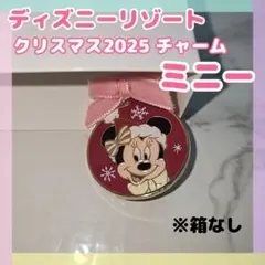 東京ディズニーリゾート キーホルダー