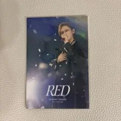 新品未開封 山田涼介 LIVETOUR 2025 RED クリスマスカード