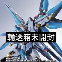 METAL ROBOT魂 ストライクフリーダムガンダム弐式 初音ミク Ver.