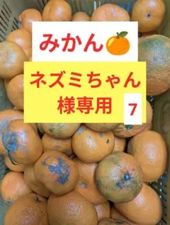 みかん　ネズミちゃん様専用