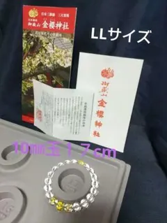 Item thumbnail for item 16b247e4-d4a5-47fb-97d5-656631e602ad