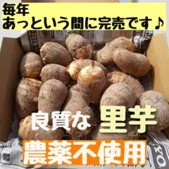 2025年最新】里芋小芋の人気アイテム - メルカリ