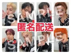 Hollow StrayKids オフイベ関東 会場限定 8枚　コンプ