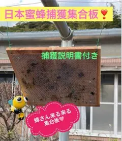 Item thumbnail for item b1ae7734-1979-4479-bb0c-5ac2f2832ee3