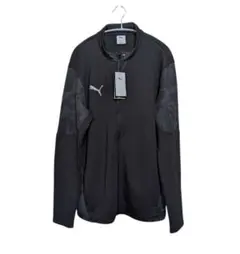 Item thumbnail for item 5c3bc67f-cdb6-402d-8050-9c2f5ff6e9b8