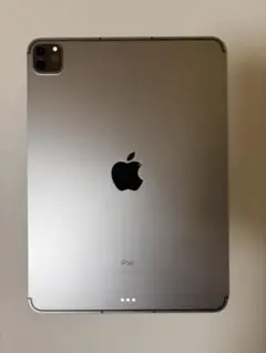 Apple iPad Pro 第3世代 11インチ Cellular モデル