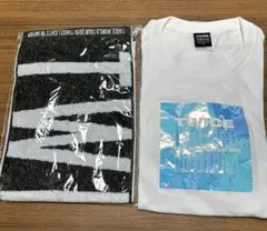 TWICE WORLD TOUR2019 Tシャツ マフラータオル 公式