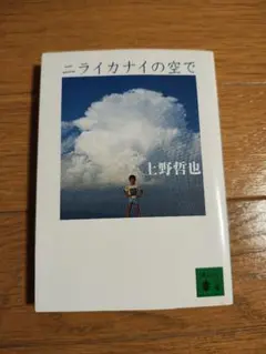 ニライカナイの空で 上野哲也著